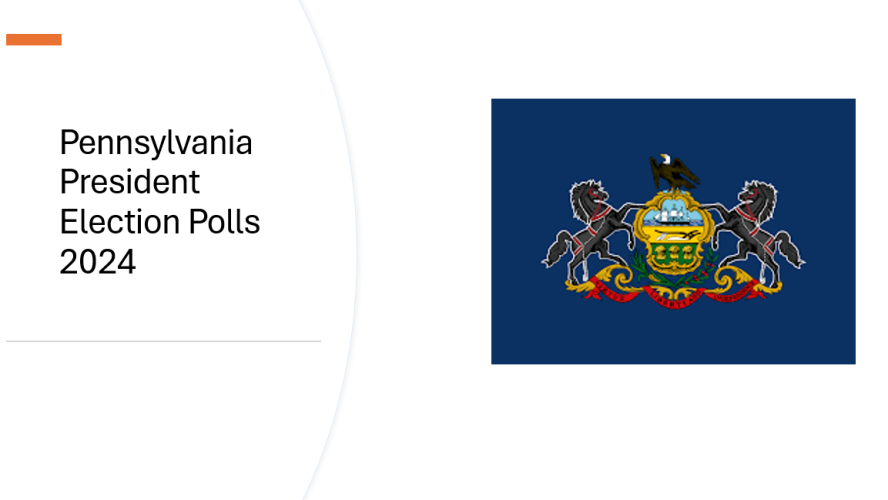politicalpulse.net